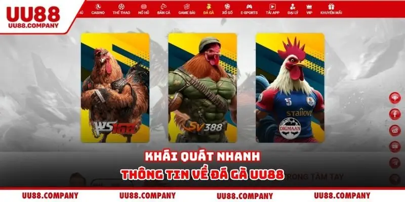 Khái quát nhanh thông tin về đá gà UU88