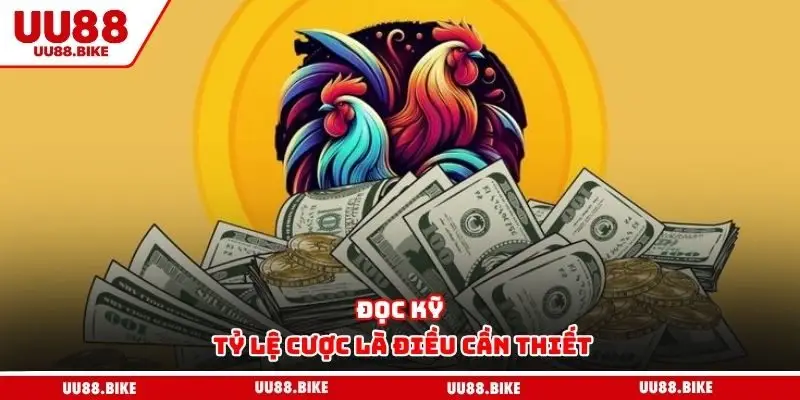 Đọc kỹ tỷ lệ cược là điều cần thiết