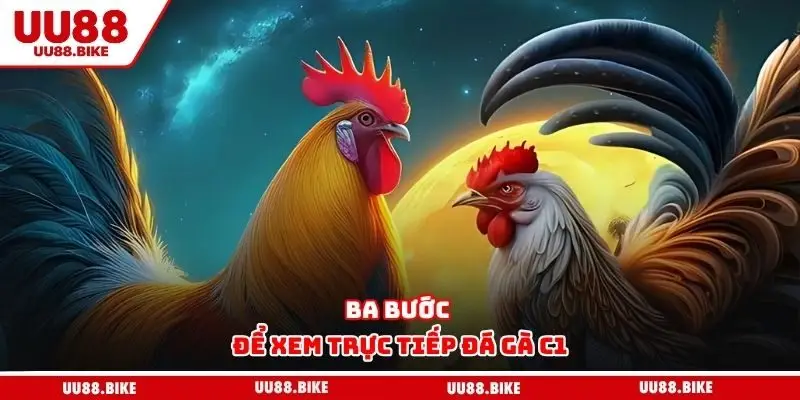 Ba bước để xem trực tiếp đá gà C1