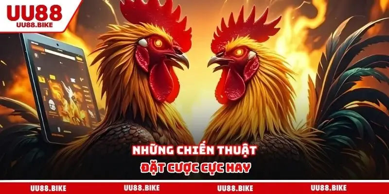 Những chiến thuật đặt cược cực hay